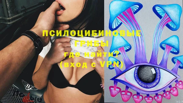 ECSTASY Богородск