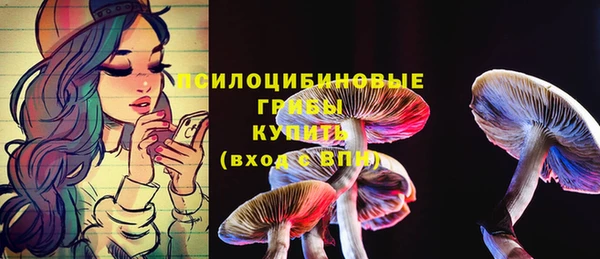 ECSTASY Богородск