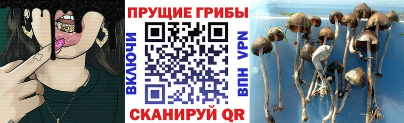 Псилоцибиновые грибы Magic Shrooms  Верхний Тагил 